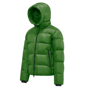 Veste polaire personnalisée pour hommes, légère et à fermeture éclair, col montant, bulle d'hiver écologique, imperméable, non-tissé de haute qualité - Product Image 4