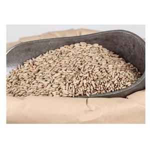 Grains de seigle biologiques de haute qualité à prix de gros bon marché à vendre - Product Image 6