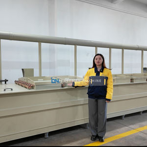 銅カソード精製機プロフェッショナル銅電解工場 - Product Image 5