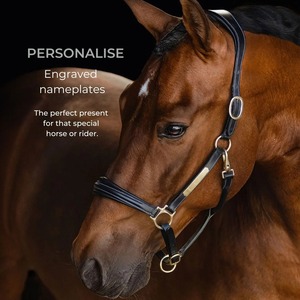 Licol en cuir noir-Passepoil verni avec plaque signalétique de cheval gravée pliable - Product Image 1