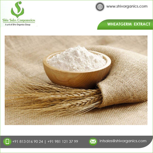 Extrait de germe de blé pur naturel certifié ISO 2025, qualité supérieure, qualité alimentaire, culture sauvage, exportateur indien, vente en gros, promotion - Product Image 2