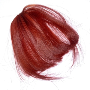 Cheveux humains 100% vrais cheveux humains vietnamiens Silkbase dentelle frange cheveux humains ondulés 2025 - Product Image 2