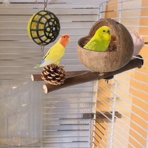 Nido de pájaro de cáscara de coco natural-Casa de pájaros ecológica y comedero hecho a mano en Vietnam para loros, pinzones y pájaros de jardín - Product Image 2