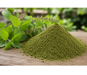 Poudre de feuilles de basilic sacré biologique, qualité alimentaire, moutonnée, naturelle, pour boissons aux herbes, smoothies, cuisine et pâtisserie - Product Image 2