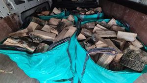 Bois de chauffage de qualité supérieure séché au four - Chêne et pin, marque personnalisée, fabriqué en Allemagne pour la vente mondiale - Product Image 6