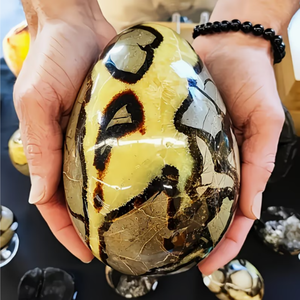 Doğal Septarian Ejderha Taşı Yumurta Büyük Boy Cilalı Kristal Jeot Mineral Örneği Ev Dekorasyonu İçin - Product Image 2