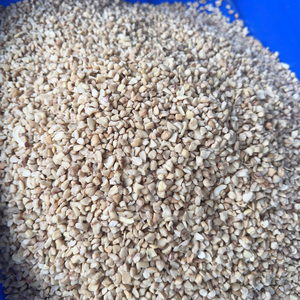 Private Label Packaging <b>Nuts</b> <b>Kernels</b> SANTIGO Noix De Cajou Cashew <b>Kernel</b> Cashew <b>Nuts</b> Wholesale First Quality - Product Image 1