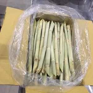 Bâtonnets et morceaux de canne à sucre congelés frais, naturels et pratiques - Product Image 5