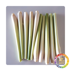 Hierba de limón congelada saludable con sabor aromático | Listo para especias y sabor - Product Image 2