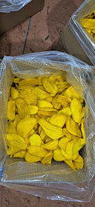 Vietnam soft dried mango for artisanal chocolate dipping confectionery manufacturing with fresh harvest quality natural texture - Product Image 5