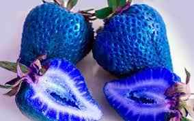 100 Pcs Seeds Organic Harvest Blue Strawberry Seeds Hobby Garden Balcony Blue Strawberry Seeds