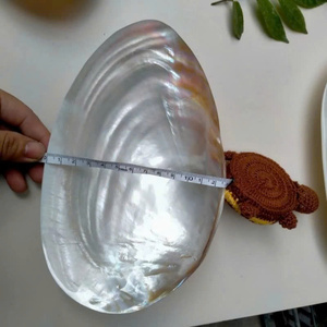 Haute qualité poli coquillage artisanat nacre assiette élégante salle à manger nacre assiette pour servir de la nourriture - Product Image 4