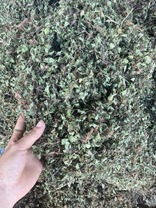 สมุนไพรเพนนีเวิร์ท/สมุนไพรเข้มข้นเข้มข้น100% สดสะอาดและมีคุณภาพสูงพร้อมกระบวนการทำให้แห้ง - Product Image 4