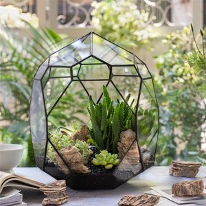 Terrarium en verre géométrique haut et irrégulier de gros en provenance d'Inde avec cadre en fer finition noire pour pot de fleurs, décoration de table - Product Image 1