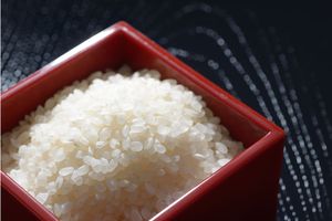 Surtidor japonés de calidad al por mayor Sushi Japonica Japón 30kg grano importado blanco largo a granel precio bajo arroz corto saludable - Product Image 5