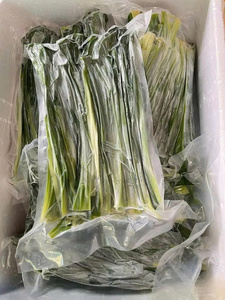 Feuilles de Pandan Surgelées IQF du Vietnam Qualité Fraîche Naturelle Fournisseur d'Exportation - Product Image 6