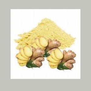 Polvo de extracto seco de jengibre salvaje, ingrediente vegetal versátil, industria de salud y bienestar de Japón, extracto de raíz de embalaje de tambor - Product Image 1