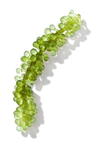 [อาหารสีเขียว] องุ่นทะเลเค็ม/สาหร่ายอบแห้ง/อินทรีย์-umibudo-Green Caviar-Caulerpa lentillifera จากเวียดนาม - Product Image 5