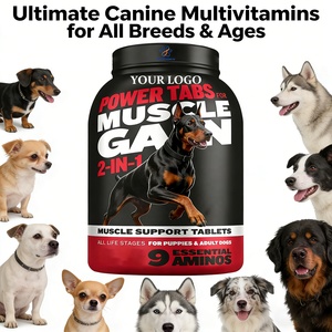 OEM/ODM 2'si 1 Arada Kas Geliştirici Çiğneme Tabletleri Köpekler İçin Kilo Aldırıcı Takviyeler Bully ve Tüm Irklar İçin Premium Kas Geliştirici - Product Image 2