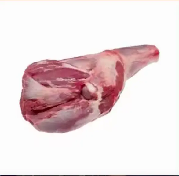 Carne Halal di agnello/pecora/montone/capra congelata per tutte le feste