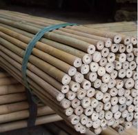 Precio barato de alta calidad, gran oferta, postes de bambú Natural para jardín, granja, edificios, planta, apoyo, esgrima deportiva, artesanía