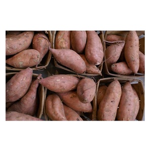 Légumes frais de qualité supérieure, patates douces en vente au meilleur prix - Product Image 5