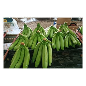 กล้วยเขียวเหลืองส่งตรงจากเวียดนาม - Product Image 1