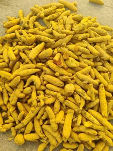 100% Polvo de cúrcuma original natural Producto agrícola de especias y hierbas individuales - Product Image 3