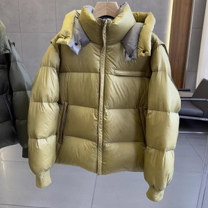 Vestes d'hiver pour hommes de haute qualité en gros, imperméables, grandes tailles, avec capuche, rembourrage en duvet et manteaux chauds, vestes pour hommes - Product Image 2