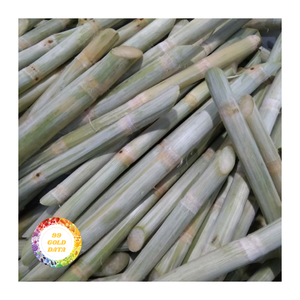 แท่งอ้อยแช่แข็งเกรดส่งออกผลิตภัณฑ์สำหรับบริการด้านอาหารและขายปลีกระหว่างประเทศ - Product Image 3