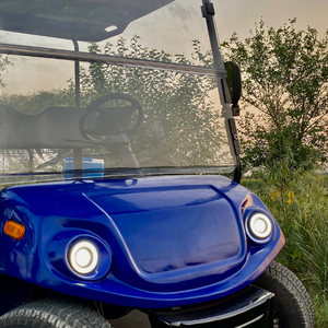 Voiturette de golf EcoDrive 2 passagers | Voiturette de golf 2 places | Voiturette de golf électrique efficace - Product Image 3