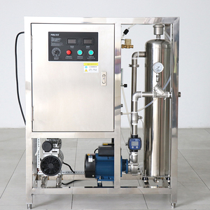 Soudron điện 50g/L Máy lọc nước Ozone hồ bơi ozonator 400L thép không gỉ xử lý nước tùy chỉnh OEM ODM - Product Image 5