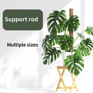 Kit de 4 poteaux en plastique recouverts de mousse avec attaches et étiquettes pour support de plantes d'intérieur Monstera, en stock aux États-Unis, prêt à être expédié - Product Image 2