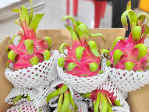 Meilleur prix de gros cpitaya fruit nouvelle récolte fruit du dragon de haute qualité - Product Image 6