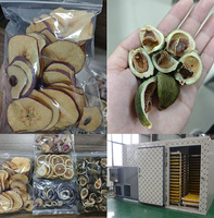 Fabrieksleverancier Paprika Dehydrator Machine Voedsel Dehydrator Fruit Groente Droger Tomaat Warmtepomp Droogmachine