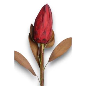 Royal Lotus Protea 86cm ดอกไม้สดตัด - Product Image 2