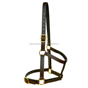 Licou en cuir de haute qualité avec rembourrage doux pour chevaux - Product Image 2