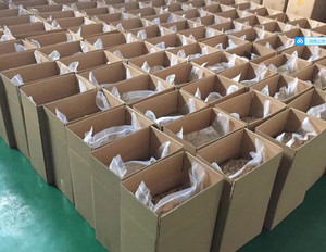 วอลนัทออร์แกนิคดิบอบแห้งเกรดพรีเมียมขายส่ง - Product Image 2