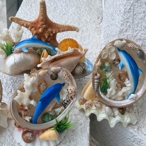 Coquillages décoratifs de qualité supérieure |   Couleurs naturelles et aspect artistique |   Décoration côtière en gros - Product Image 4