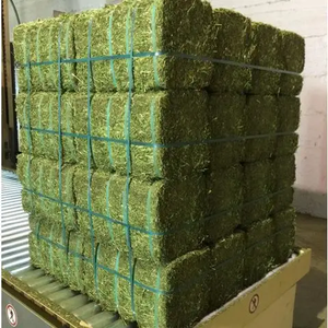 Grado de alimentación American Alfalfa Hay Timothy Hay Ganado Caballo Mascotas Ovejas - Product Image 5