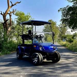Voiturette de golf électrique de luxe 2 places - Product Image 1