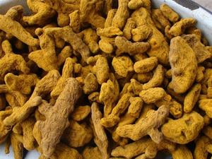 Cúrcuma orgánica natural de proveedor mayorista a granel, dedo de cúrcuma seca entera amarilla orgánica Longa - Product Image 5