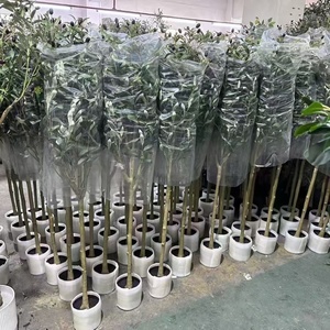 Realistic <strong>Artificial</strong> <strong>Trees</strong> for Indoor &amp; Outdoor Decoration | Olive, Cherry Blossom, <strong>Palm</strong> - Product Image 6