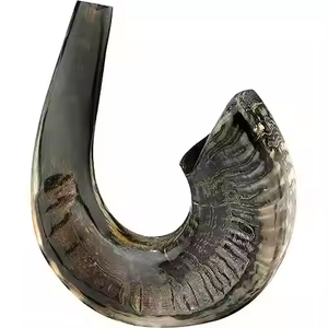 Corne de béliers à moitié polie naturelle authentique Shofar par Crescent Crafts Sheep Shofar Corne musicale Cadeau juif pour femmes et hommes - Product Image 4