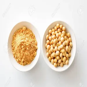 高档豆粉出售25千克和50千克袋/散装豆粉供应/最优惠的豆粉