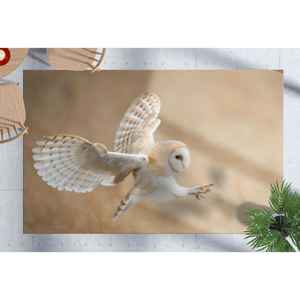 Tapis Hibou des granges, Tapis avant l'attaque, Tapis Faune sauvage, Tapis imprimé, Tapis doux à poils longs - Product Image 1