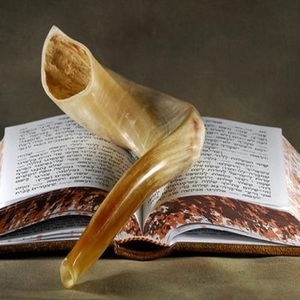 Kosher RAMS Horn shofar อินเดียเทคนิคขัดเงาคุณภาพเยี่ยมงานฝีมือธรรมชาติสไตล์สัตว์ที่ดีที่สุด - Product Image 3