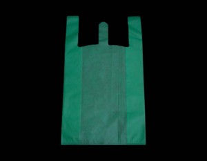 Bolsa de tela no tejida verde - Product Image 2