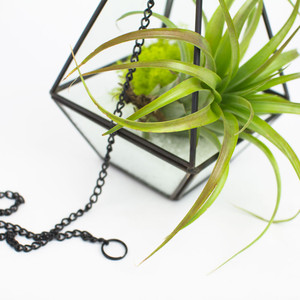 GET0610BK - ตู้กระจกทรงพีระมิดสูงสีดำลายเรขาคณิต 9.5H - 9.5 ชั่วโมง - Product Image 5