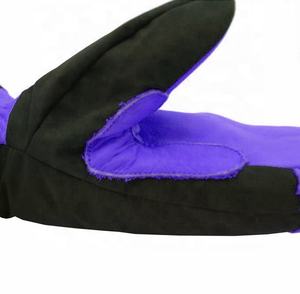 Meilleures ventes Nouveau design Gants en cuir imperméables Conduite sportive confortable Mitaines de ski pour l'hiver pour le ski - Product Image 6